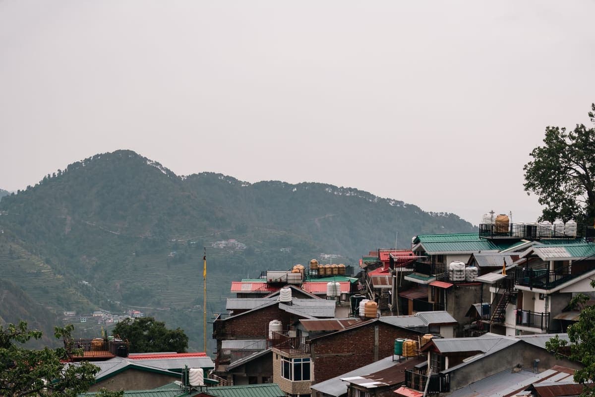 Colourful rooftops of a hill town stacked along a green wooded slope