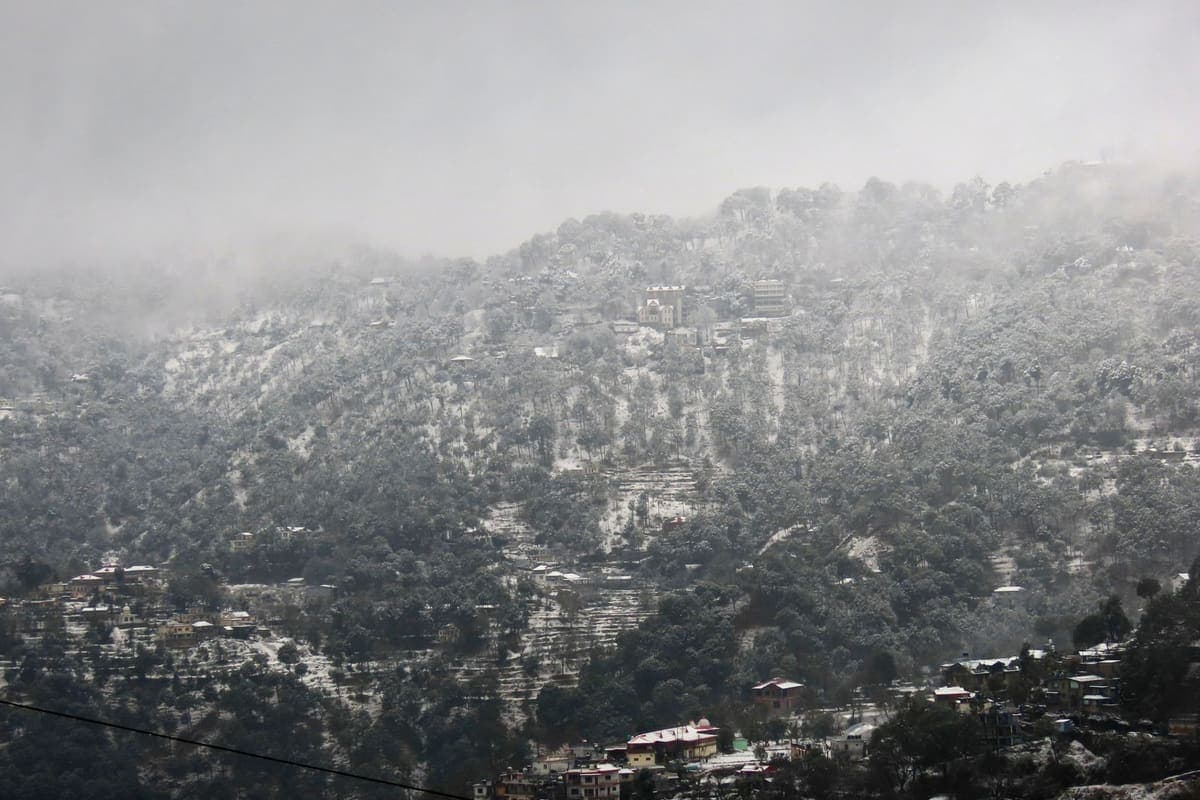 Cloud and mist rolling over a forested hillside with a scattering of rooftops below